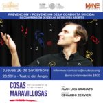 OBRA «COSAS MARAVILLOSAS» –…